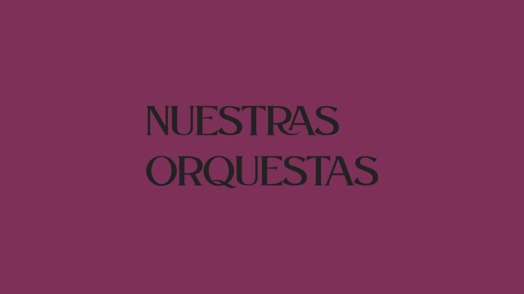 Orquesta de la “Federació Alacantina de Corda Polsada Mar i Muntanya”